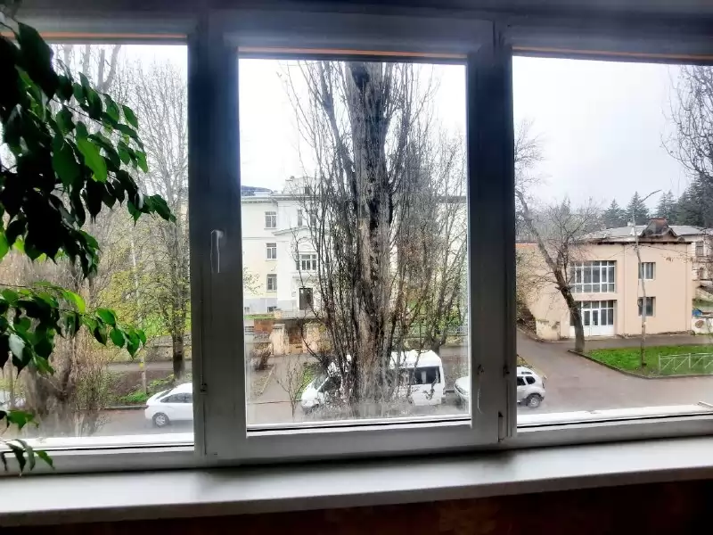 загруженное (2)
