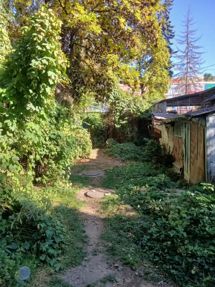 img-20261008-wa0013