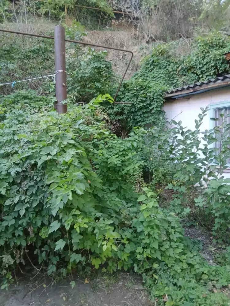 img-20261008-wa0015